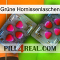 Grüne Hornissenlaschen 15